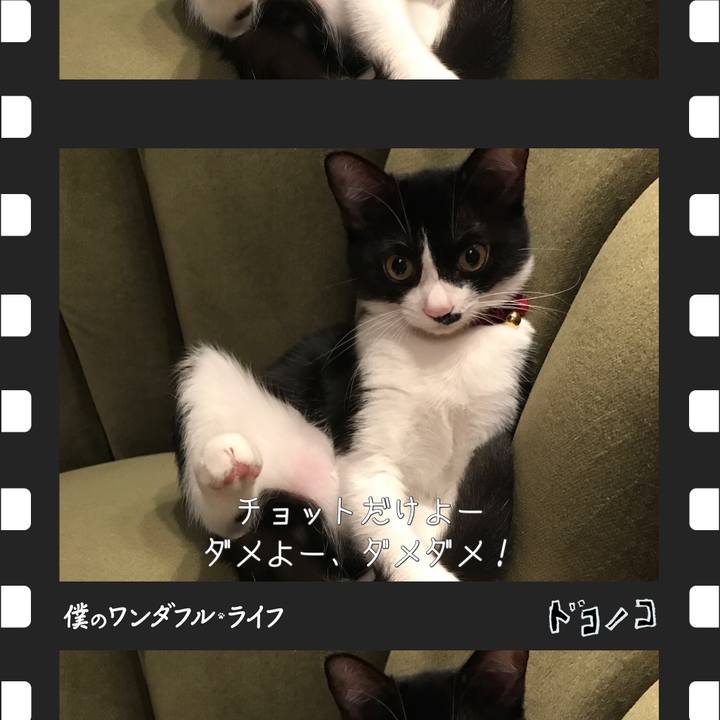 866e5240 dc97 49da 8ea9 6b1d19f92fb8