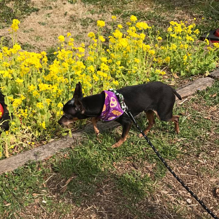 866e86eb 8f0a 45df 8198 4c8ea149d578