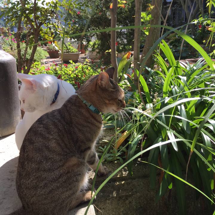 866e9671 72f0 4983 9807 14876fcb6dda