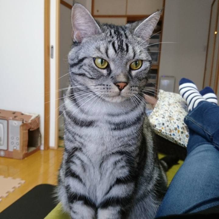 866fe184 5b08 4c1a 9fc3 e7e039b1c693