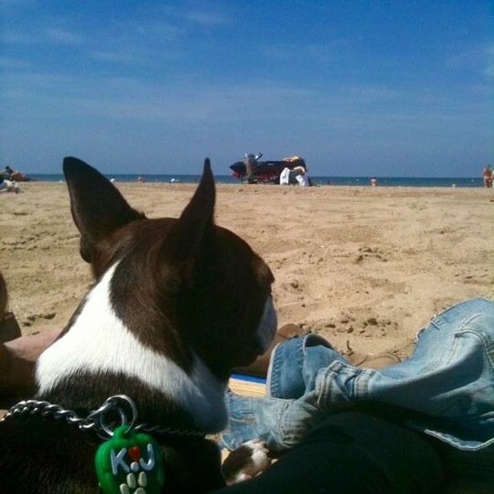 866fff7f 1fc2 4058 9948 7de24402b549