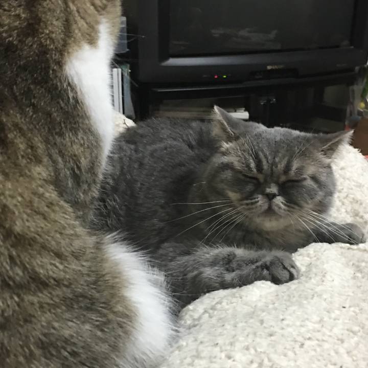 86703a5c 9474 481d b8aa 8bee12628070