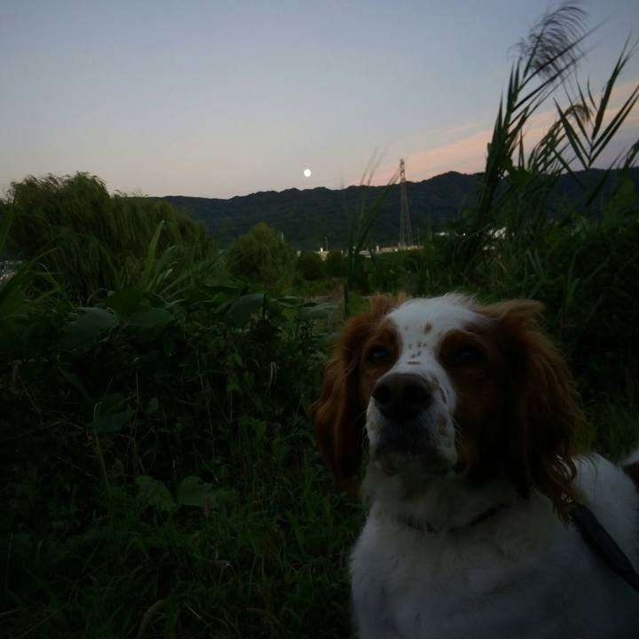 86713a2b 4789 4028 a17d 469166f83bd7