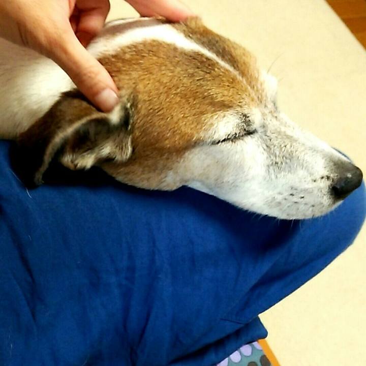 8671a8bd 7f9d 47be 88f0 074dbbf1323f