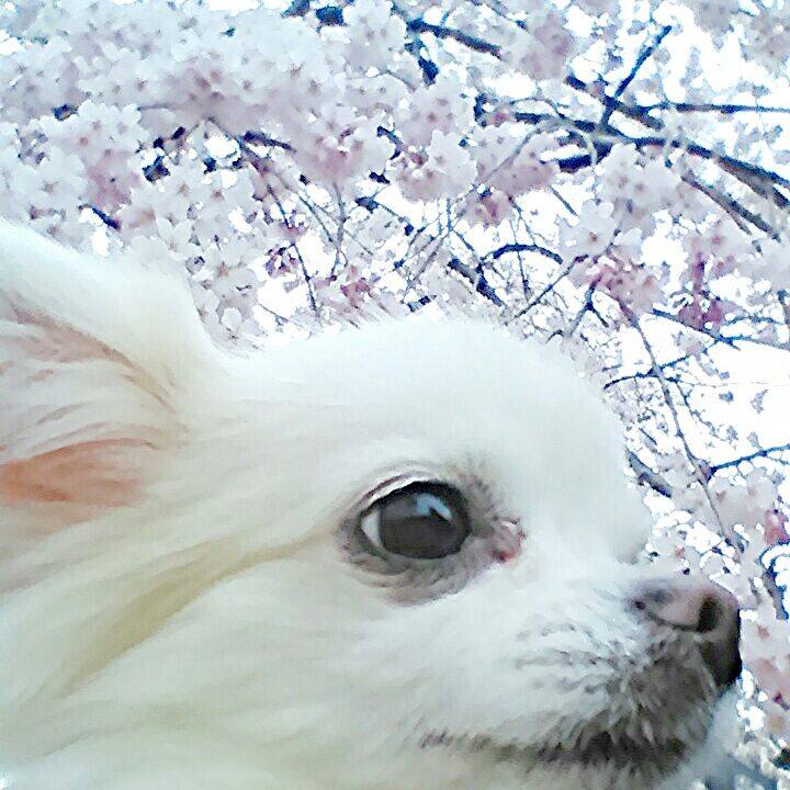 8671eef0 6d34 4949 838c 83caf4c6349f