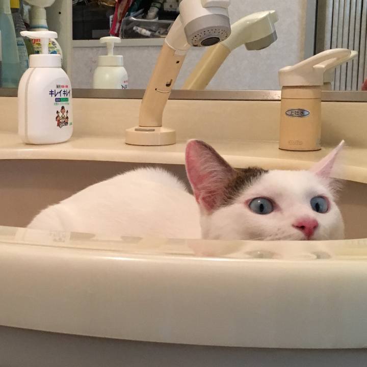 8672c92b fbd9 40e2 b2cb 74cad5f7e03a