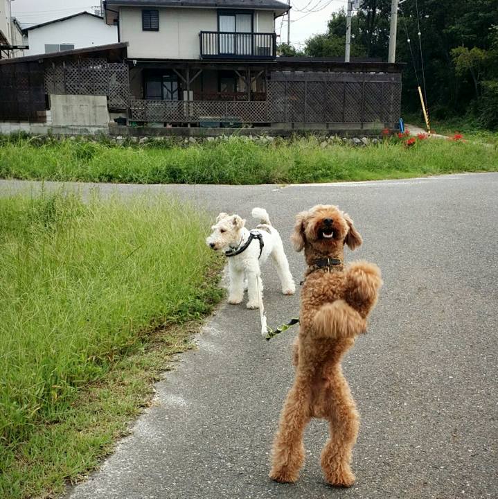 86731729 cc6d 453e 8707 4922e7baeeff