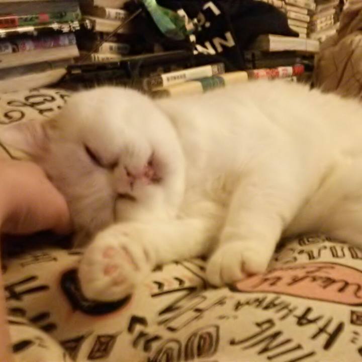 86736b70 a6fe 4ca0 bd62 b0e536b98cbe