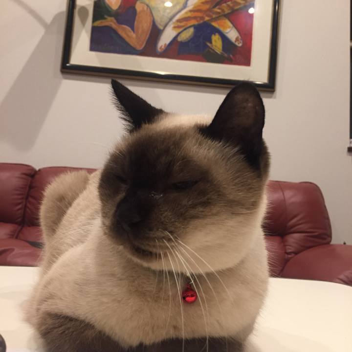 8674026a 75e2 444f a481 5759d421cd21