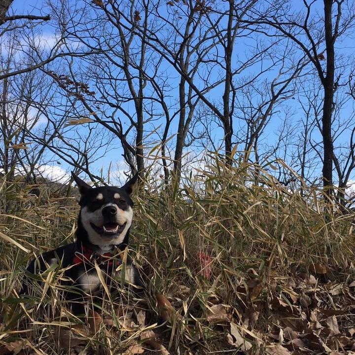 867405d3 a93c 46e8 9eae 973239edb97b