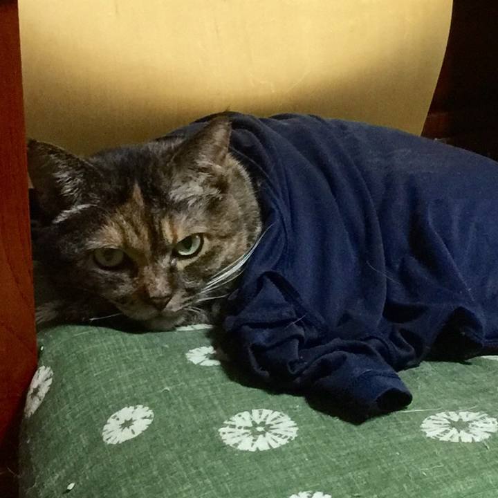 867473bf ce8c 4c49 85db 51b566dd47a0