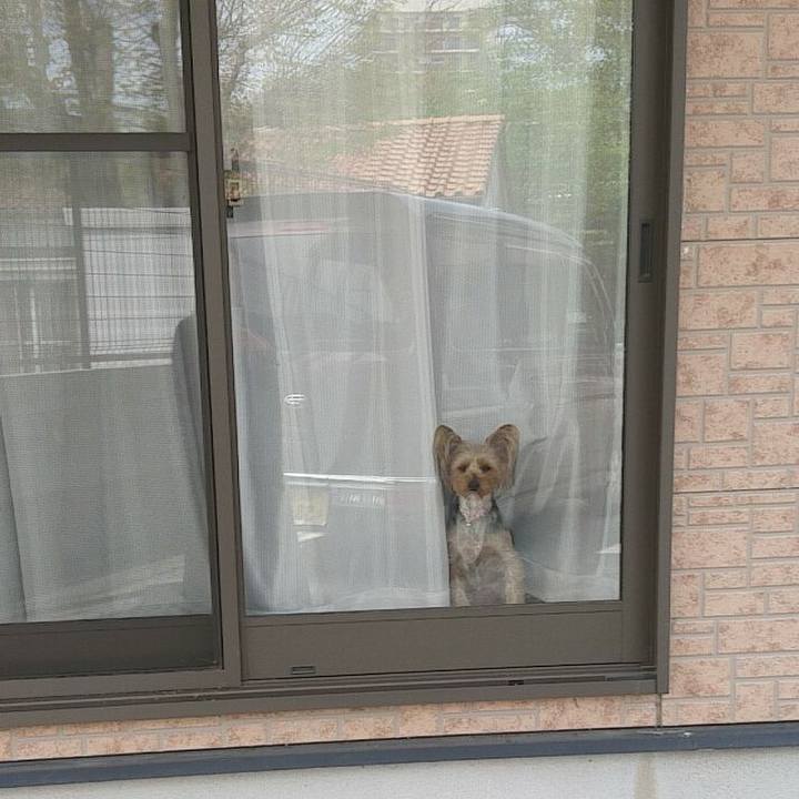 86748a91 38db 4c27 9dab 093e6531a5f9