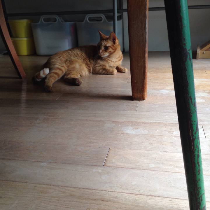 86752240 421f 4d36 a948 11bd6fbf029c