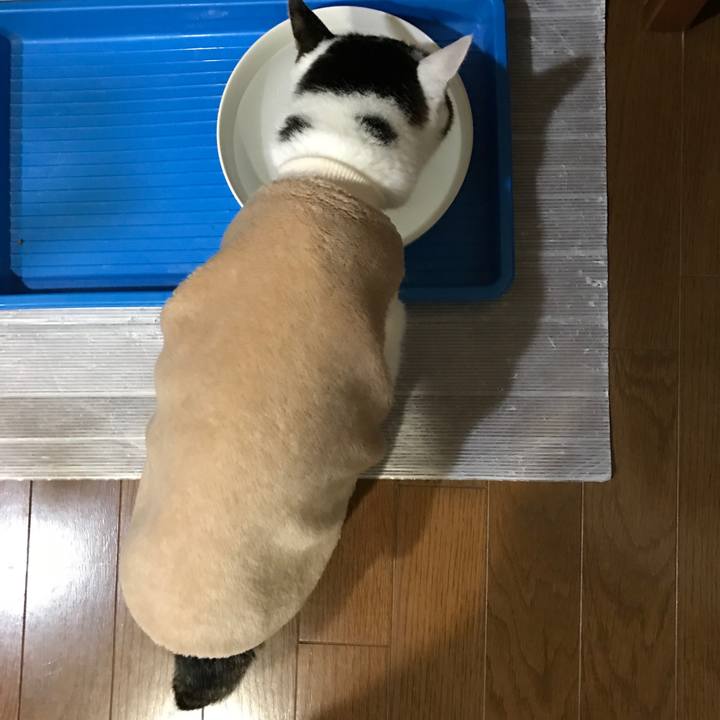 86755c91 2745 4150 a01d 9003c9f2dfab