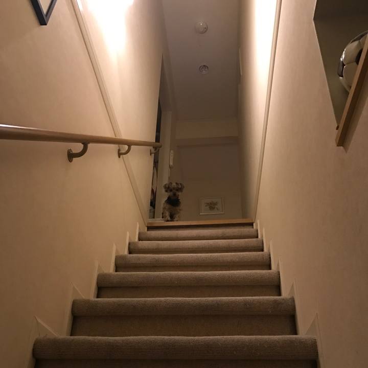 8675bda1 f345 4fdd 813d 93a20ddb8876