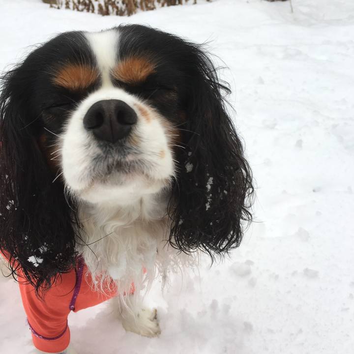 8675f48d 552c 4ee9 aaf8 0f9d25dd3236