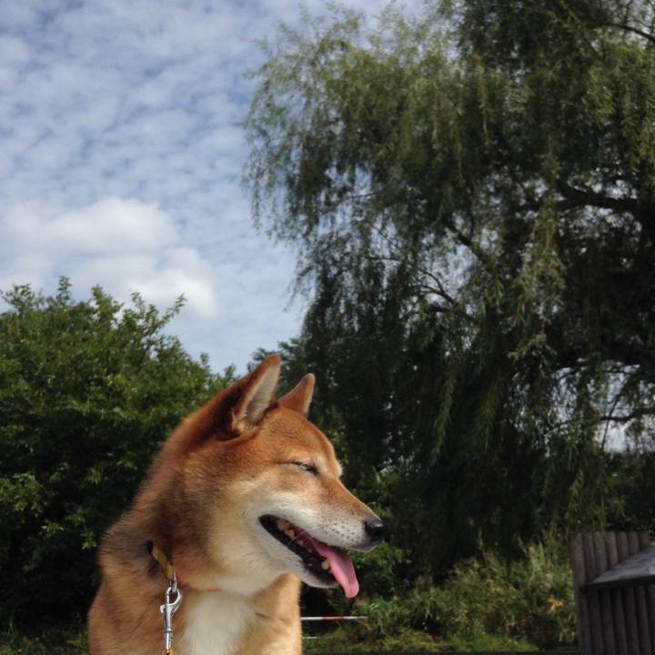 8675fd59 941a 4305 a486 e4e71b83d9ae