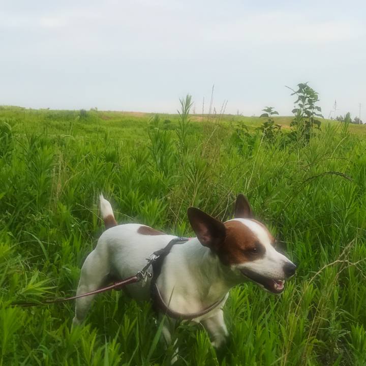 867647e0 bef7 45a6 85a0 3373764b51a8