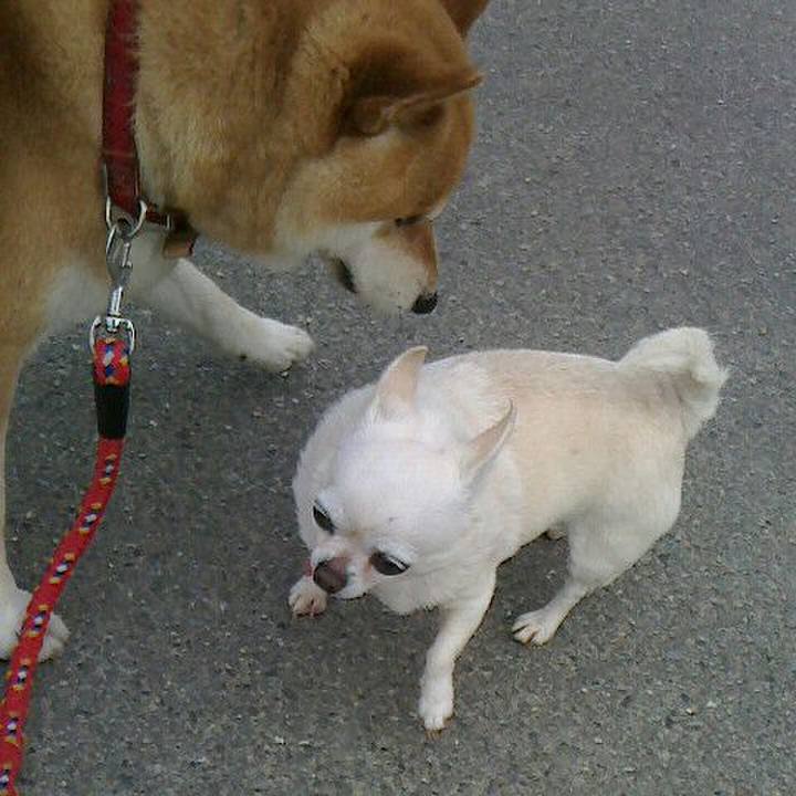 8676bca1 8d1b 4907 a8ba bfc58f43302d