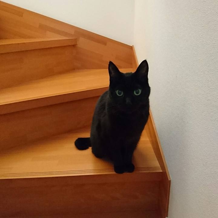 86770636 fb1a 473a 944e bdca87685be6