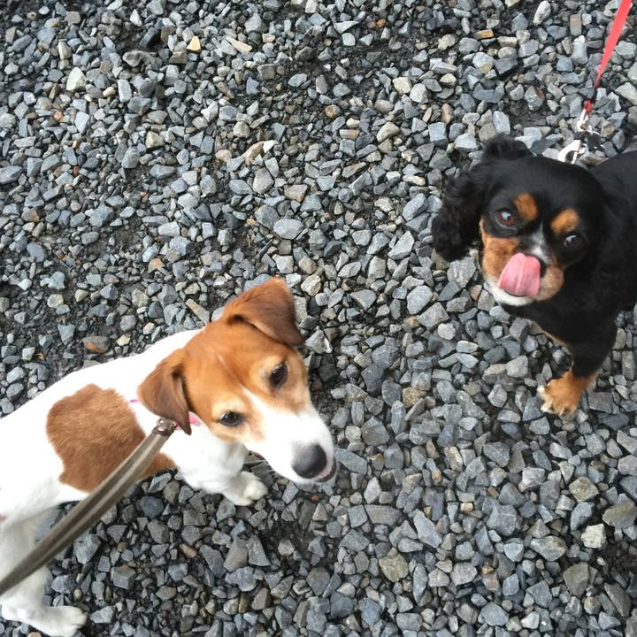 86776631 fbb7 4dfa a38b 14480f76b845