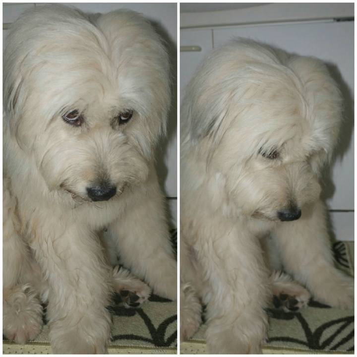 867805f0 c1fc 4e8d b240 e8156c1f6e9c