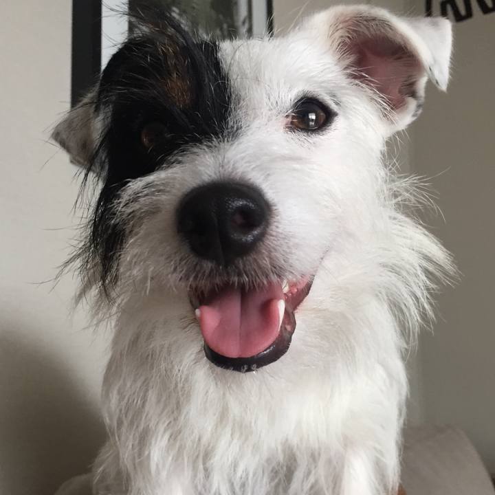 867820da 1c40 404b b2b6 48979df18a85