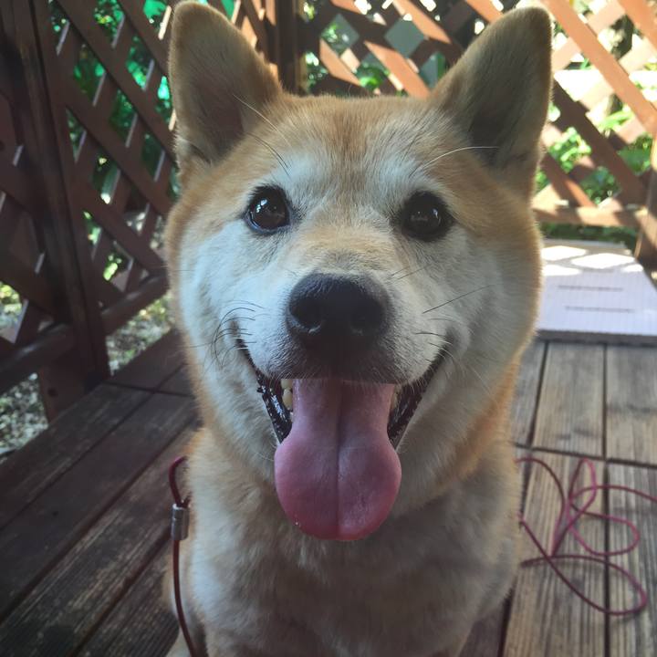 8678c972 ed7d 4cc9 b707 47eb9df3c0b6