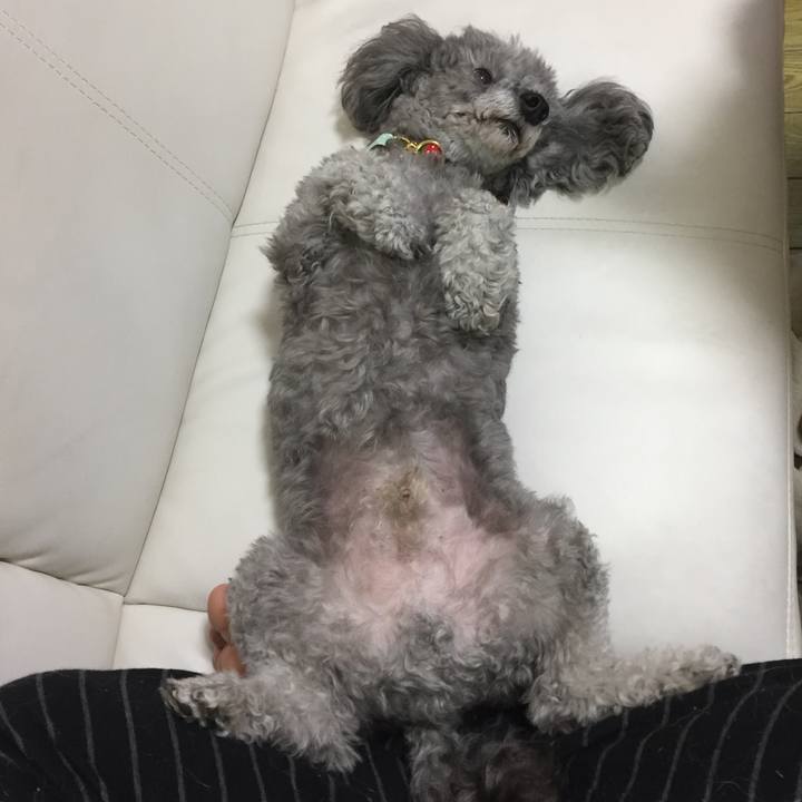 8678de12 7384 49d8 9990 0d7d976ab9af