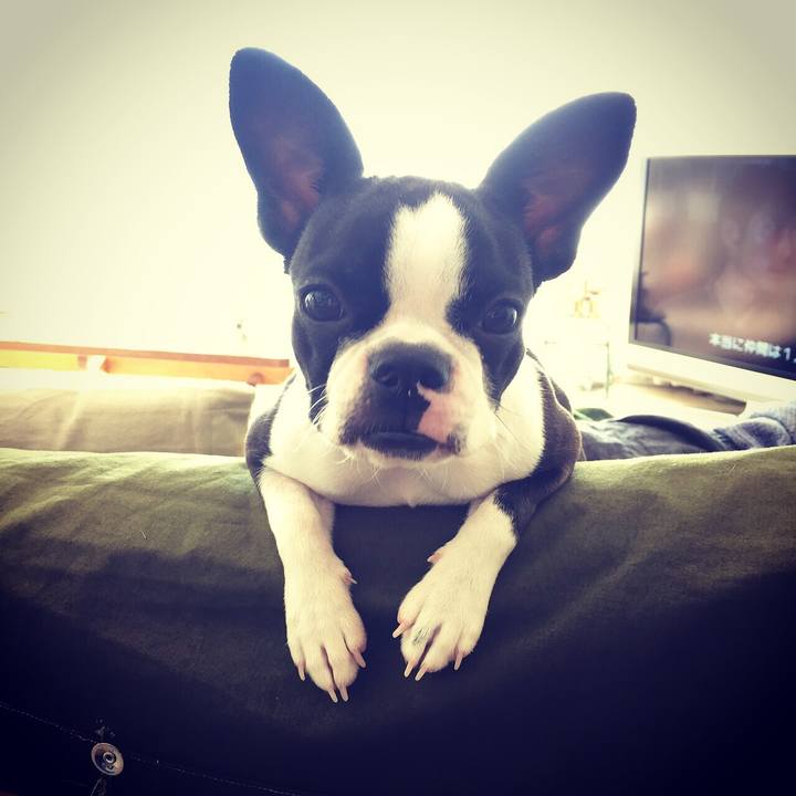 86795347 cd91 40ad 947c 644694ae4ee8