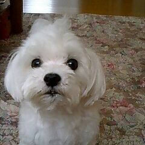 8679faff d475 436b bae4 43cea8647e86