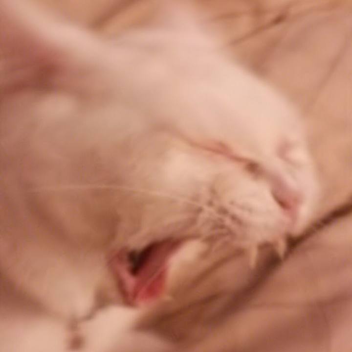 867ad84e c4bb 44ee 8725 746e73bb88de