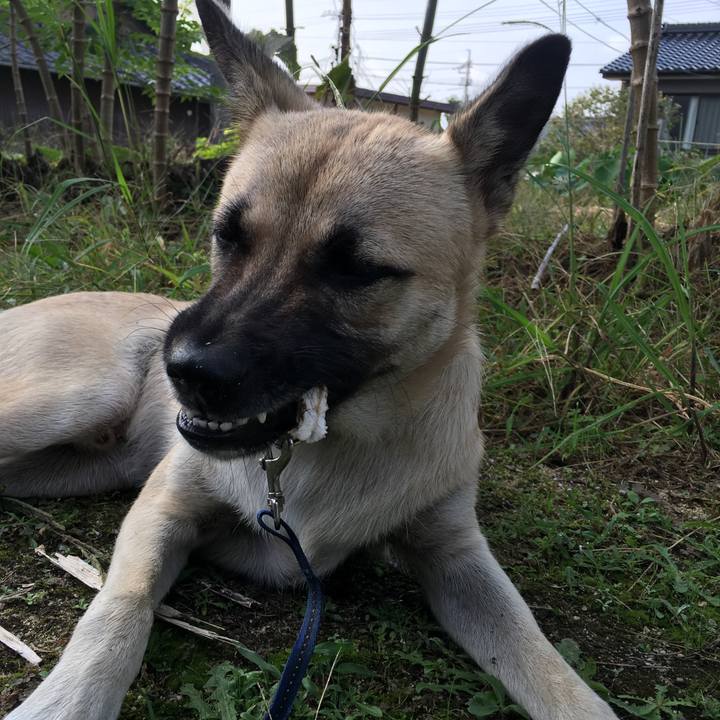 867b9c33 e81a 41f0 a580 a00970ec14c5