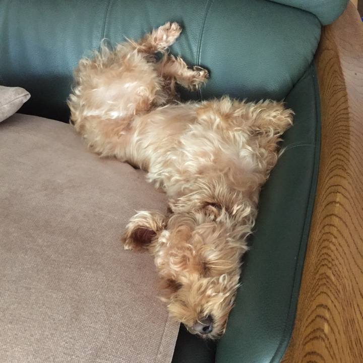 867bb642 715f 4601 9684 daa31622b758