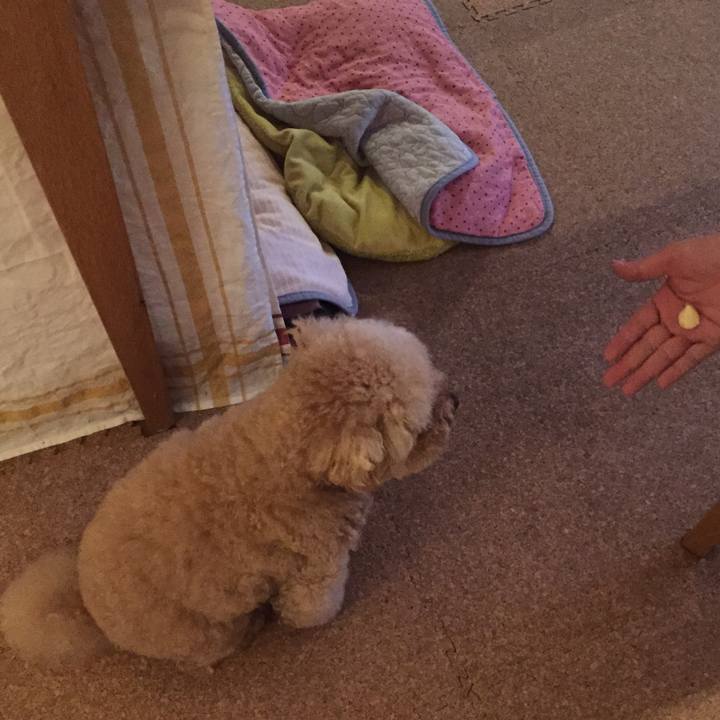 867bdc49 cb7e 4909 aa53 e2e91edde343