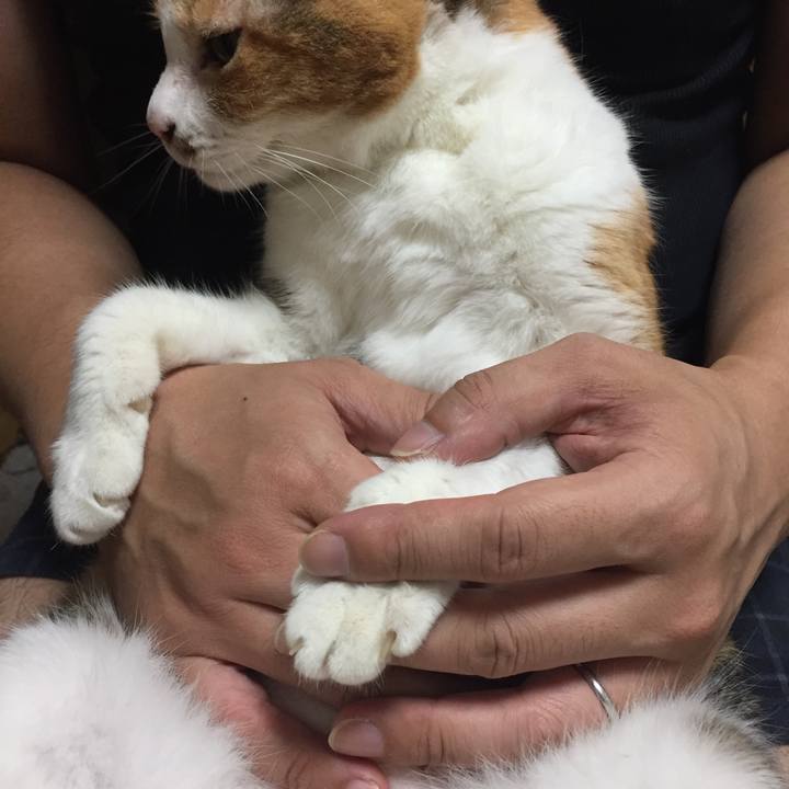 867c302b 6b3e 4b3f b02b 5a2a23dd993c