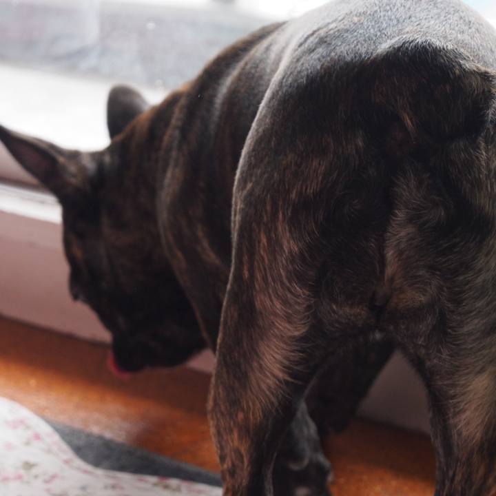 867c3aca 9baa 483e 80bb 2d2fe800b85d