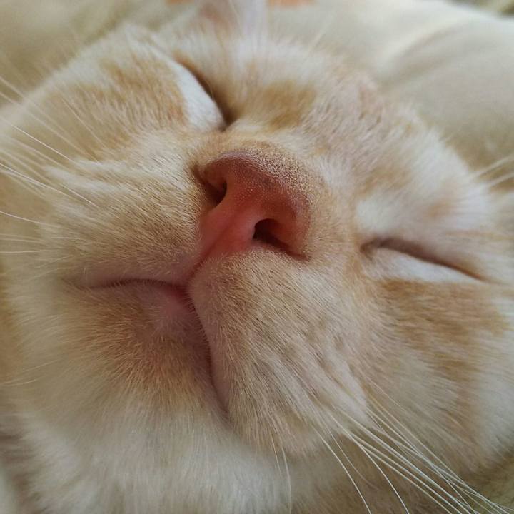 867c6f98 d036 4a2f 904d a70e00151807