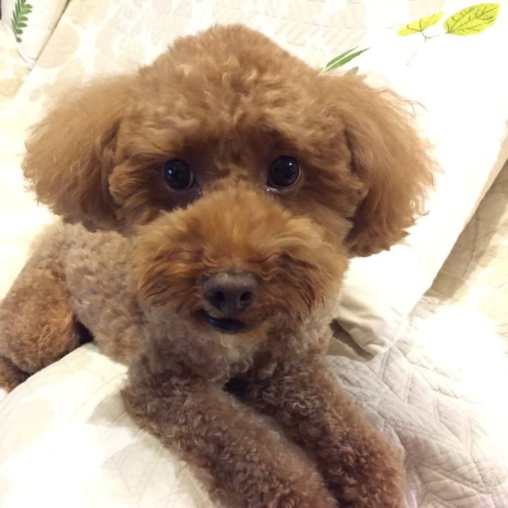 867c7c20 82ae 4ba7 adce f6fbdd7e3d1e