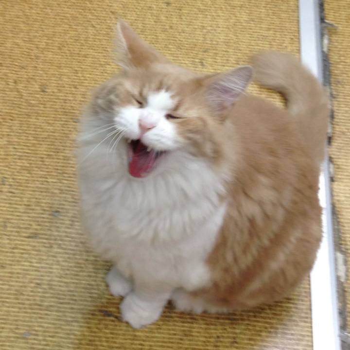 867ca2ee 493b 4a8a af0f 1fb8f00bce88