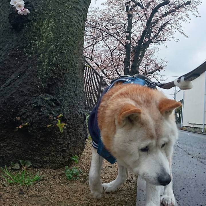 867cb2e4 eb5a 4763 8a0f 092fcd5103b9