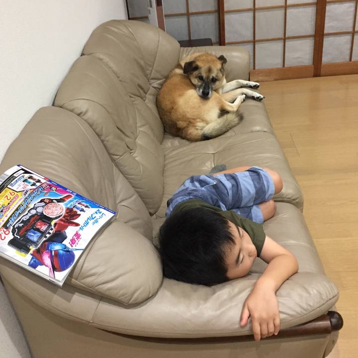 867d9703 64d0 4bd9 a7eb 7a898486c7b7