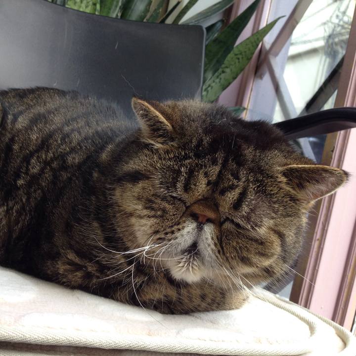 867db8ff 82aa 487b ae4c fdd81b3b62b5