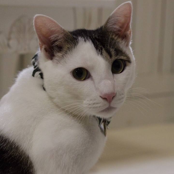 867e00ef b9e0 4ca4 9019 35a6d0ffd0ce