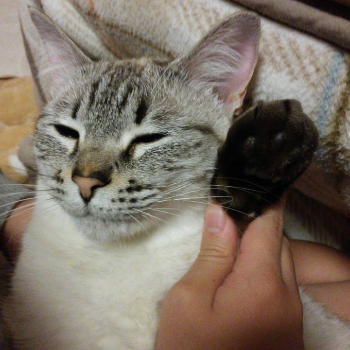 867e09fe db8b 4030 9576 f44bbd8a8def