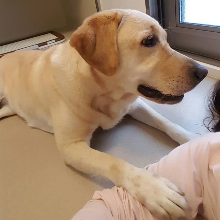 867e4454 15ac 4bbb 8fc8 b35ec12a1add