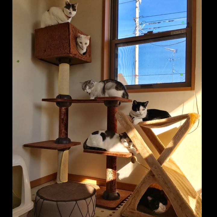 867e5dc0 1a52 4c43 9804 ba3ee6162fb8