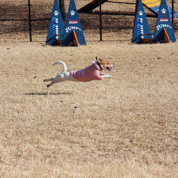 867e7e3c b261 4234 b105 5880776a89e2