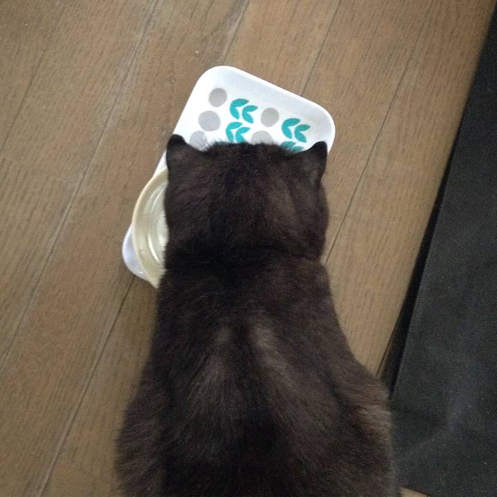 867e9399 b787 4c01 8e95 800a7fdde77e