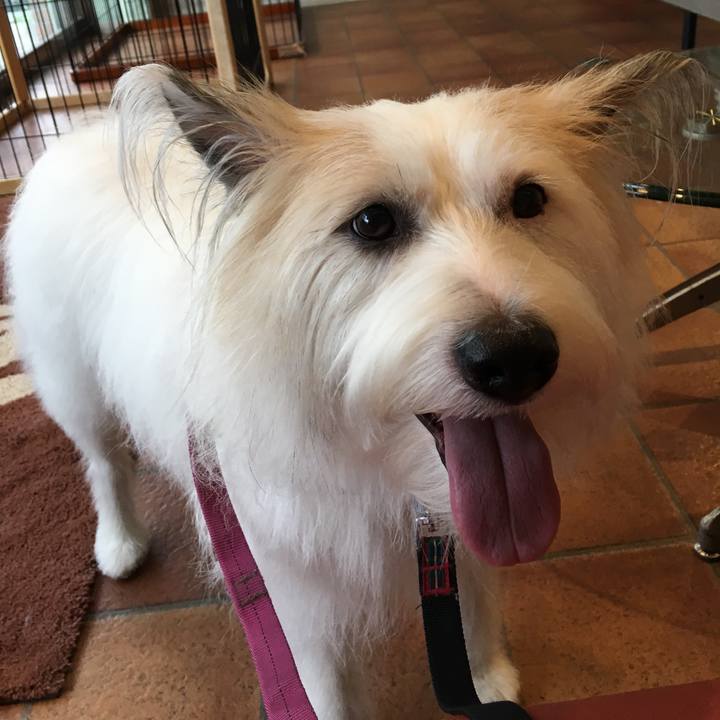 867ea92b 8ba5 4d93 a3e1 777b8dab1325